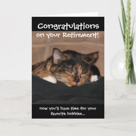 Finny Pension Card, Napping Calico Cat Kort