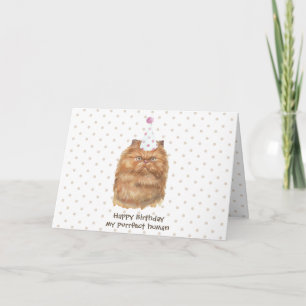 Finny Persian Cat med Party Hat Kort