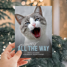 Finny Pet Cat Helgdag-julkort Julkort