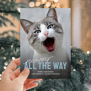Finny Pet Cat Helgdag-julkort Julkort