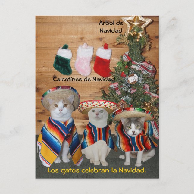 Finny Pet Spanska vykort för Roligt eller undervis (Framsida)