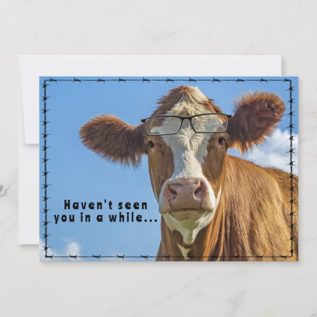 Finny Ranch Farm Country Western Cow Glasses Julkort (Framsida)