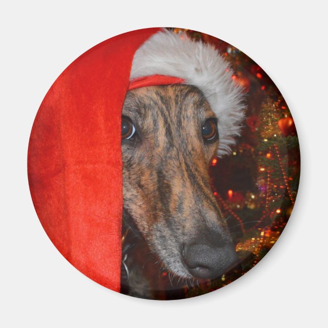 Finny Santa Hund - Lurcher Greyhound jul Hat Magnet (Framsidan)