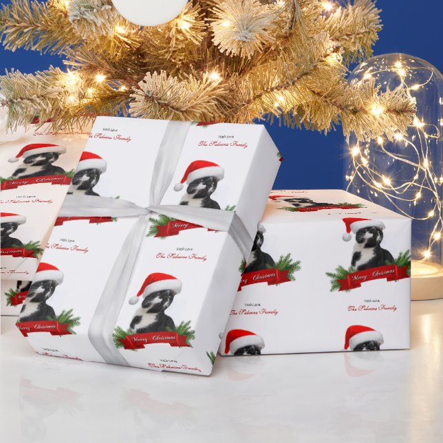 Finny Sarcastic Cat Santas Hjul Presentpapper (Helgdagar)