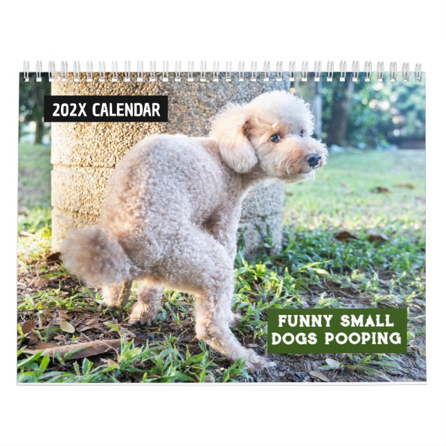 Finny Small Hundar Pooping 2026 Kalender (Omslag)