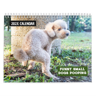 Finny Small Hundar Pooping 2026 Kalender
