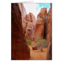 Fins, Arches National Park, Utah Card