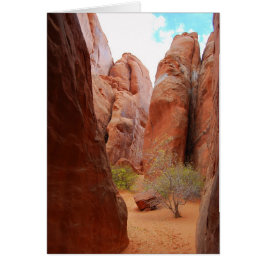 Fins, Arches National Park, Utah Card Hälsningskort