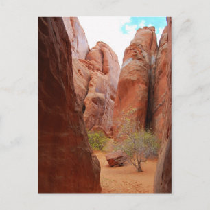 Fins, Arches National Park, Utah, vykort