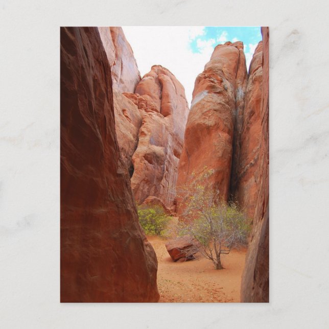 Fins, Arches National Park, Utah, vykort (Framsida)