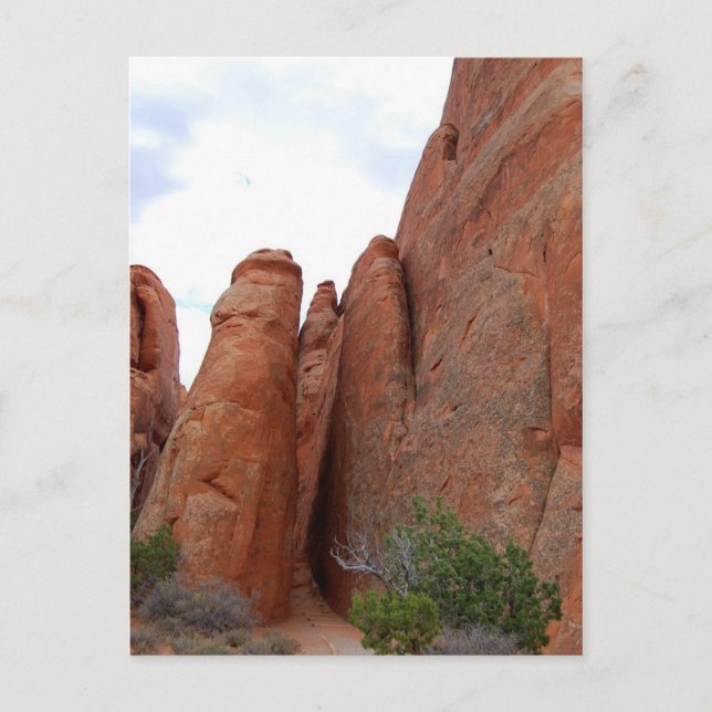 Fins, Arches National Park, Utah, vykort (Framsida)