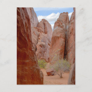 Fins, Arches National Park, Utah, vykort
