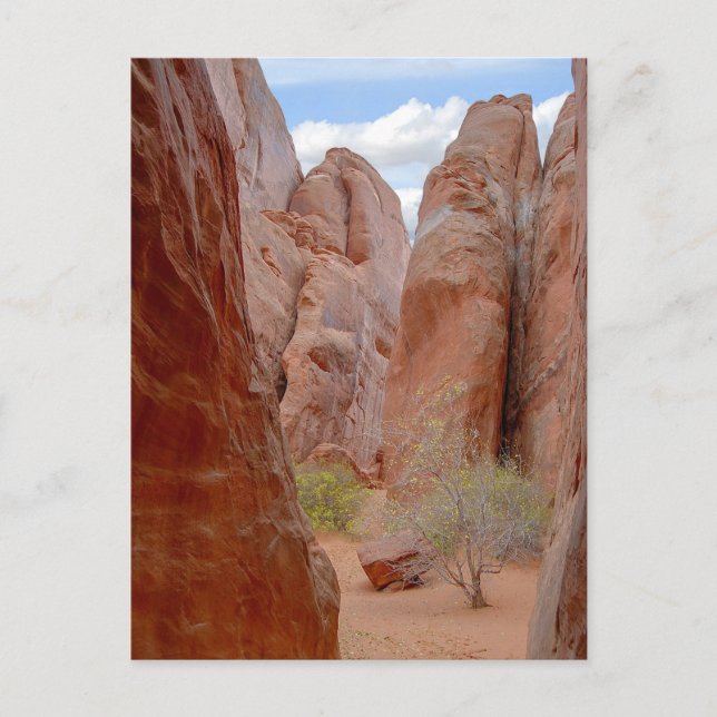 Fins, Arches National Park, Utah, vykort (Framsida)