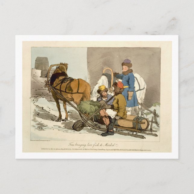 Fins som för levande fisk till marknaden, etchad a vykort (Framsida)