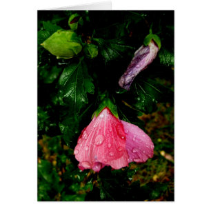Finsk-Hyvää Syntymäpäivää-raindrops Hälsningskort