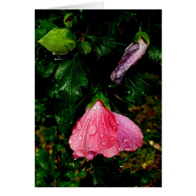 Finsk-Hyvää Syntymäpäivää-raindrops Hälsningskort (Framsidan)