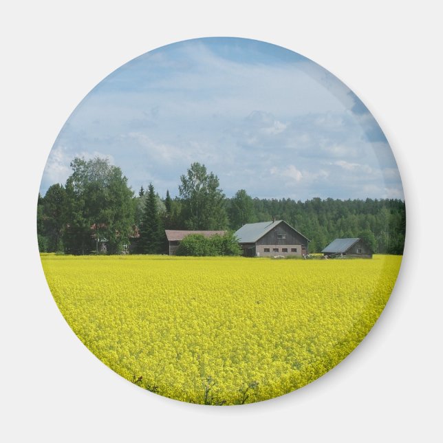 Finsk landsidesmagnet magnet (Framsidan)
