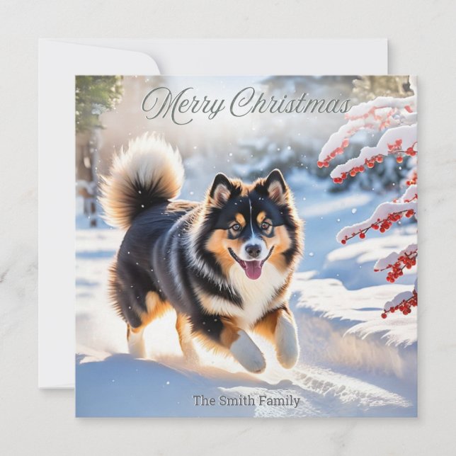 Finsk Lapphund Hund I Snö Stilig Bild Julkort (Framsida)