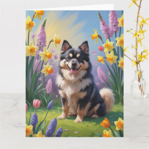Finsk Lapphund Hund Vårblommor Målning Kort