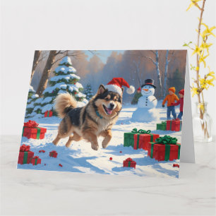 Finsk Lapphund springer i snö med julhatt Kort