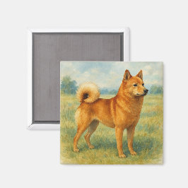 Finsk spets magnet