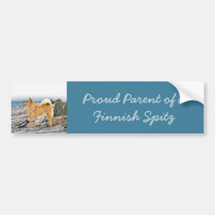Finsk spitz vid Seashore Painting - Hund Art Bildekal