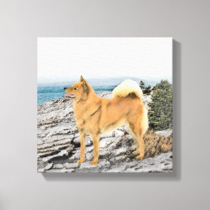Finsk spitz vid Seashore Painting - Hund Art Canvastryck