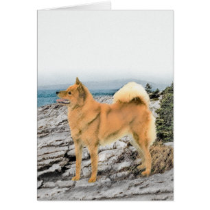 Finsk spitz vid Seashore Painting - Hund Art Hälsningskort