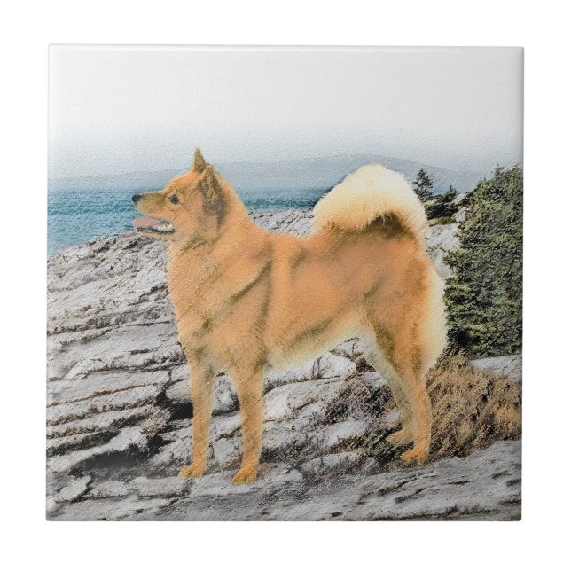 Finsk spitz vid Seashore Painting - Hund Art Kakelplatta (Framsidan)