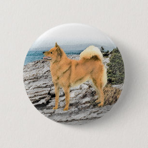 Finsk spitz vid Seashore Painting - Hund Art Knapp
