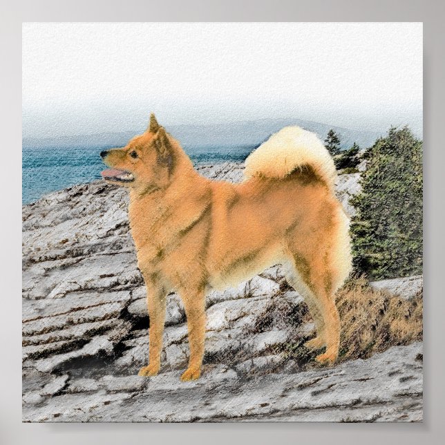 Finsk spitz vid Seashore Painting - Hund Art Poster (Framsidan)