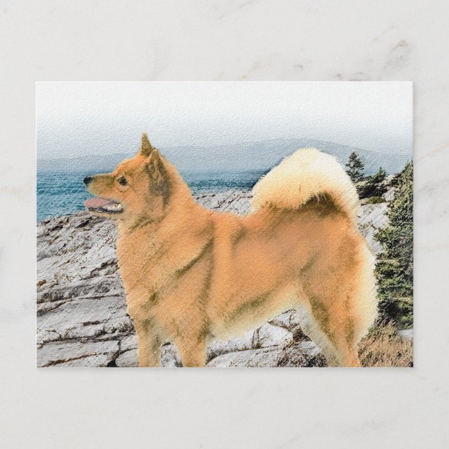 Finsk spitz vid Seashore Painting - Hund Art Vykort (Framsida)