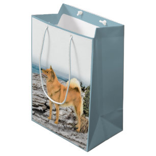 Finsk spitz vid Seashormålning - Hund Art