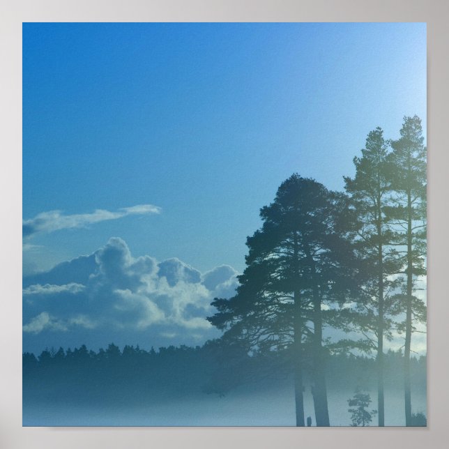 Finska foggy sjö poster (Framsidan)