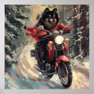 Finska Hund Lapphund Riding Motorcykel jul Poster