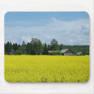 Finska landsidemusslor musmatta