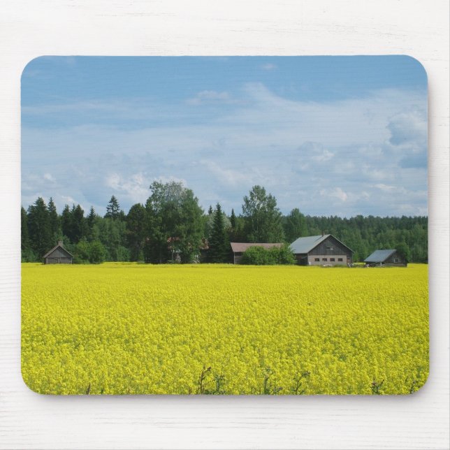 Finska landsidemusslor musmatta (Framsidan)