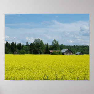 Finska landsidesidan poster