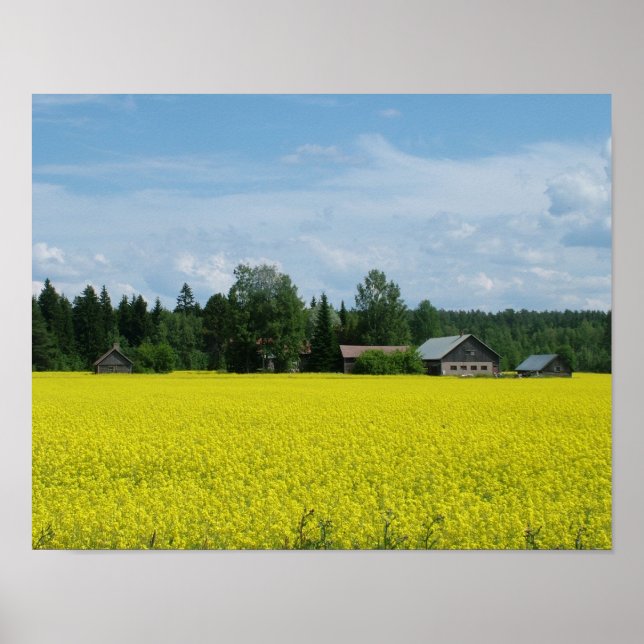 Finska landsidesidan poster (Framsidan)