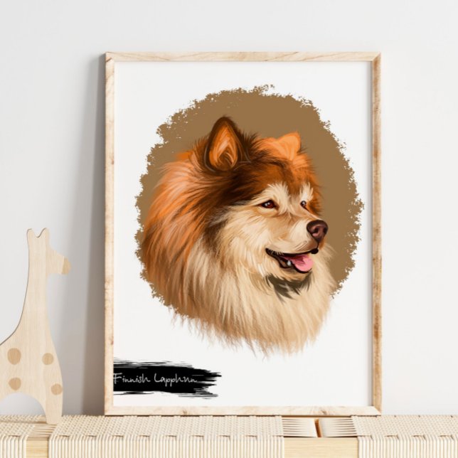 Finska Lapphund Hund Porträtt | Pet Porträtt Wall Poster (Skapare uppladdad)