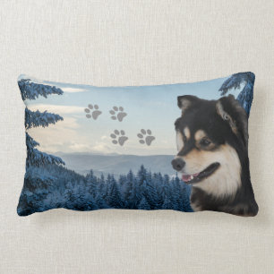 Finska Lapphund Roni Lumbarkudde