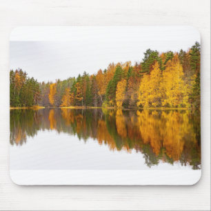 Finska sjö med spegel-bild under sommarsäsongen. musmatta