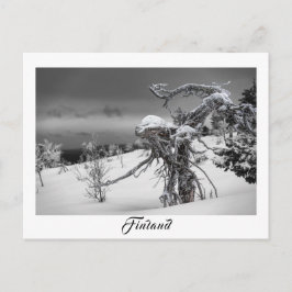 Finskt utländskt träd-vykort vykort