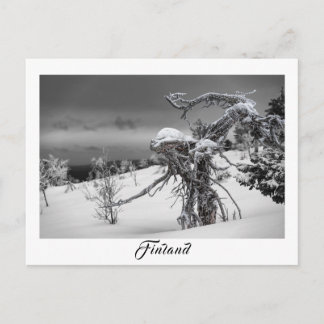 Finskt utländskt träd-vykort vykort