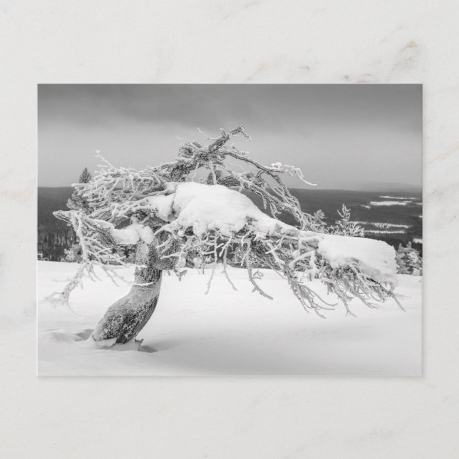 Finskt vykort för vintern (Framsida)