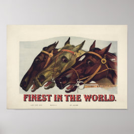 Finst in the World - Vintage Horse Tävla Poster