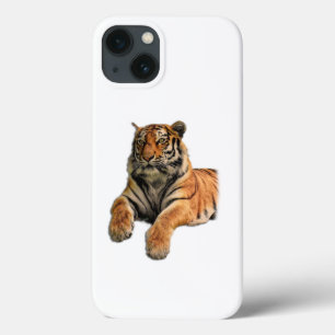 Fint Bengal Tiger Ansikte & Tass Photo