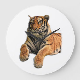 Fint Bengal Tiger Ansikte & Tass Photo Stor Klocka