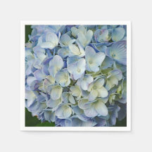 Fint Blue Hydrangea Flowers Photo