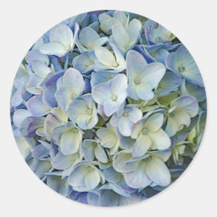 Fint Blue Hydrangea Flowers Photo Runt Klistermärke